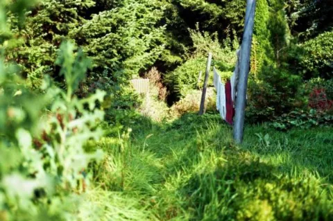 Bardenfleth Urwald Panoramio