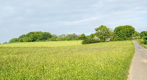 Barntrup 2015 05 22 Lip 072 Biotopkomplex Am Muehlenturm (1)