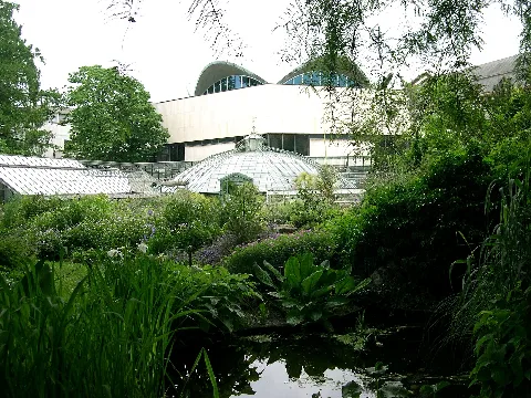 Basel Universitätsgarten Ii 08 06 2008