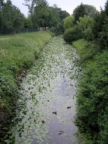 Bastau Kanalisiert