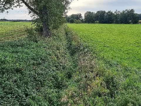 Batenser Beeke (Wipperau)