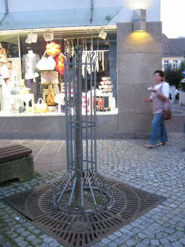 Baumausschnitt Bretten