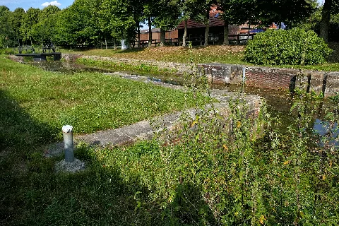 Baumbestand Schleuse Wesuwermoor(Süd Nord Kan.) P4060972