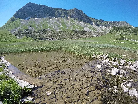 Baumgartenjoch