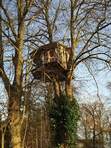 Baumhaus 2015