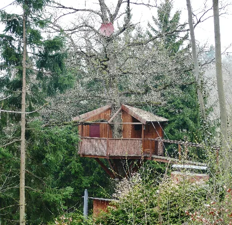 Baumhaus Mit Satellitenanschluss Panoramio