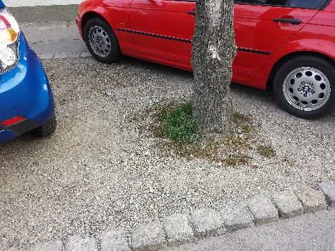 Baumscheiben In Stammersdorf Sl1