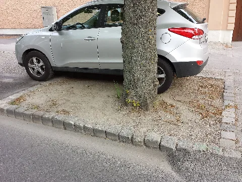 Baumscheiben In Stammersdorf Sl2