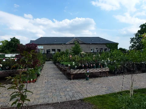 Baumschulenweg Späth Arboretum 05