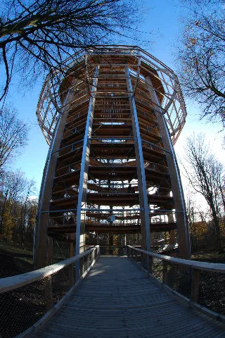 Baumwipfelpfad Naturerbe Zentrum 11 2013 01