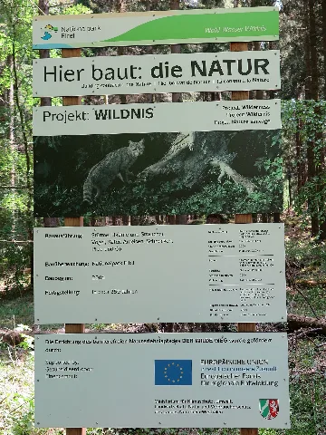 Baustelle Wilder Weg