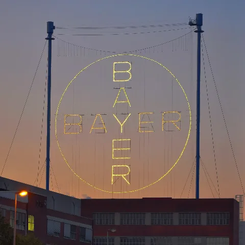 Bayer Kreuz