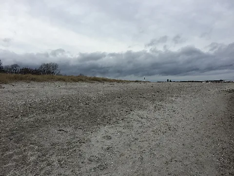 Beach Schönberg