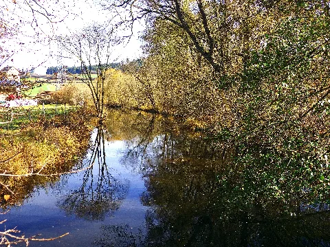 Beaver Panoramio (2)