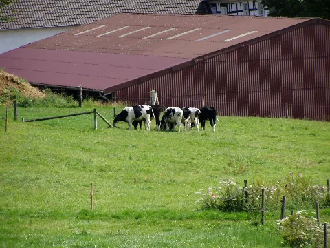 Bechen 5 Panoramio