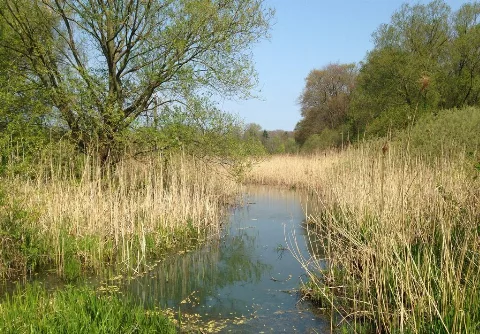Beetzer See
