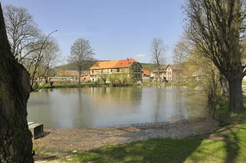 Behringen Schlossteich Cth