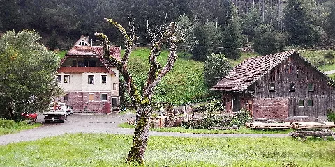 Bei Der Glasmühle Im Teinachtal Panoramio