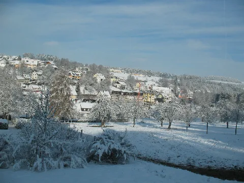 Beihingen (Haiterbach) 11 2010 05
