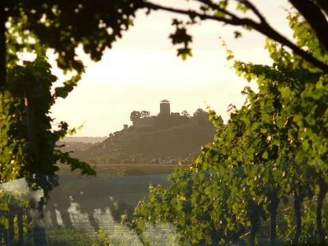 Beilstein Burg Hohenbeilstein Ansicht Von So Im Weinlaub
