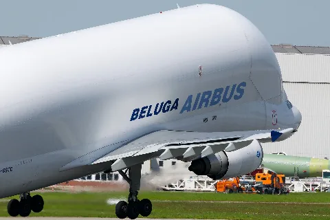 Beluga Departure (7228625428)