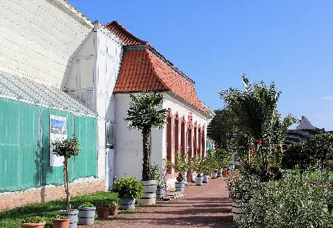 Bendeleben, Die Orangerie 1