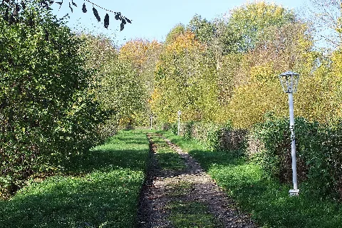 Bendeleben, Weg Zum Schlosspark