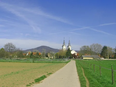 Bensheim Schwanheim Melibocus Wv Ds 04 2007