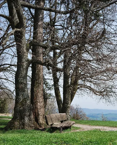 Berg Hohenstaufen