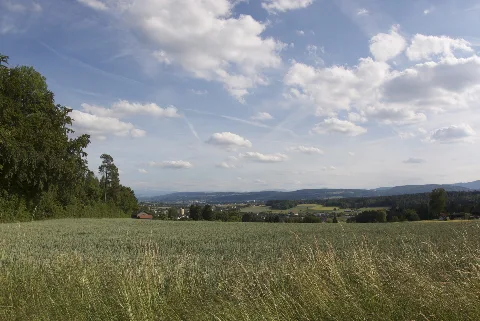 Bergbassersdorfi