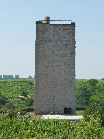 Bergfried Burg Schwabsburg Nordostansicht