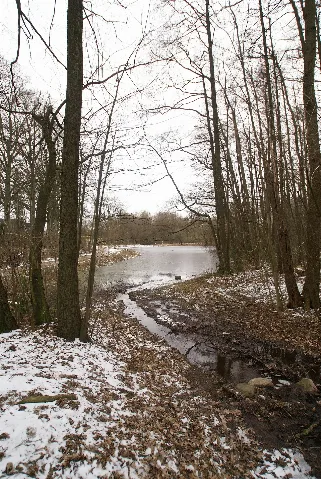 Bergsteed Muusdiek