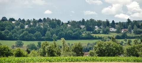 Bergwald, Gechingen Panoramio
