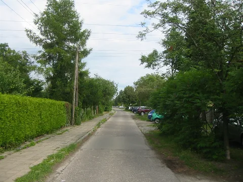 Mahonienweg