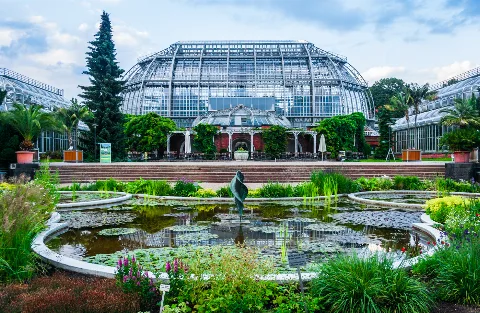 The Berlin-Dahlem Botanical Garden and Botanical Museum (German: Botanischer Garten und Botanisches Museum Berlin-Dahlem) is a botanical garden in the German capital city of Berlin, with an area of 43 hectares and around 22,000 different plant species. It was constructed between 1897 and 1910, under the guidance of architect Adolf Engler, in order to present exotic plants returned from German colonies. The garden is located in the Lichterfelde locality of the borough of Steglitz-Zehlendorf. Today, the garden is part of the Free University of Berlin. The Botanical Museum (Botanisches Museum), with a large herbarium (Herbarium Berolinense) and a large scientific library, is attached to the garden. The complex consists of several buildings and glass-houses, such as the Cactus Pavilion and the Pavilion Victoria (which features a collection of orchids, carnivorous plants and giant white water lily Victoria-Seerosen). The total area of all glass-houses is 6,000 m². The garden's open-air areas, sorted by geographical origin, have a total area of 13 hectares. The garden's arboretum is 14 hectares. The best-known part of the garden is the Great Pavilion (Großes Tropenhaus). The temperature inside is maintained at 30 °C and air humidity is kept high. Among the many tropical plants it hosts a giant bamboo.