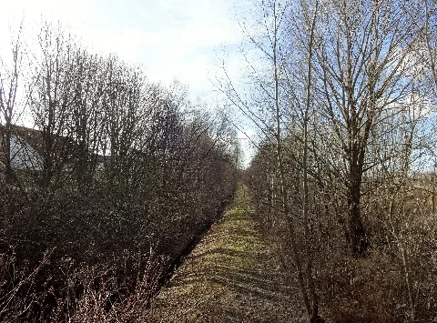 Berlin Falkenberg Millionengraben Blick Vom Barnimer Dörferweg