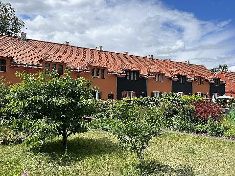 Mandelblütenweg
