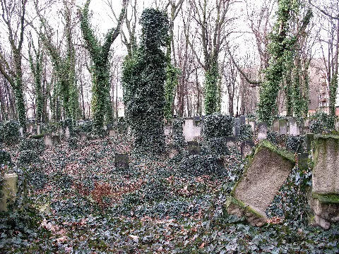 Berlin Jüdischer Friedhof Schönhauser.0176