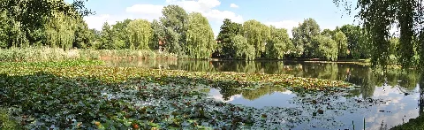 Berlin Lichtenrade Panorama Dorfteich