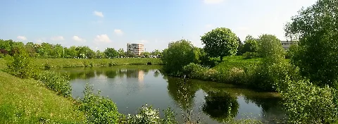 Berlin Marienfelde Panorama Freseteich