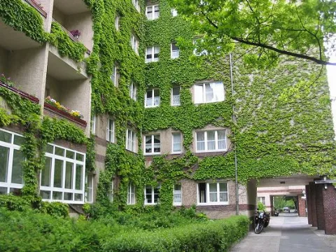 Straße am Schoelerpark