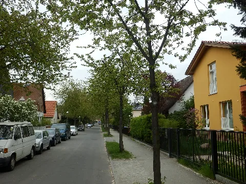 Berlin Zehlendorf Hammerstraße