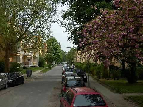 Berlin Zehlendorf Hocksteinweg