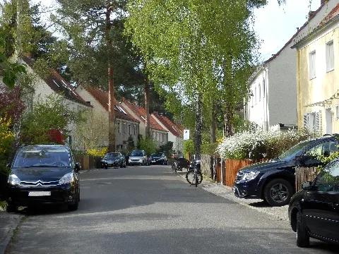 Süntelsteig