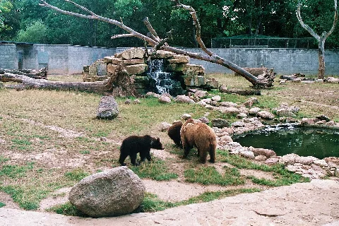 Bernburg (Saale), In The Animal Park, Image 1