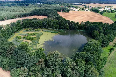 Bernsdorf Großgrabe Erlenteich Aerial