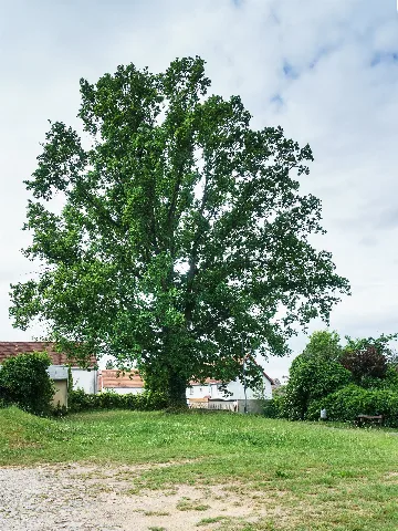 Bergkirche Beucha