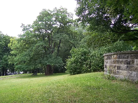 Beutlerpark Dresden