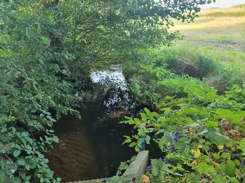 Beverbeck (Schwinge)