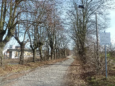 Bfbelzigallee